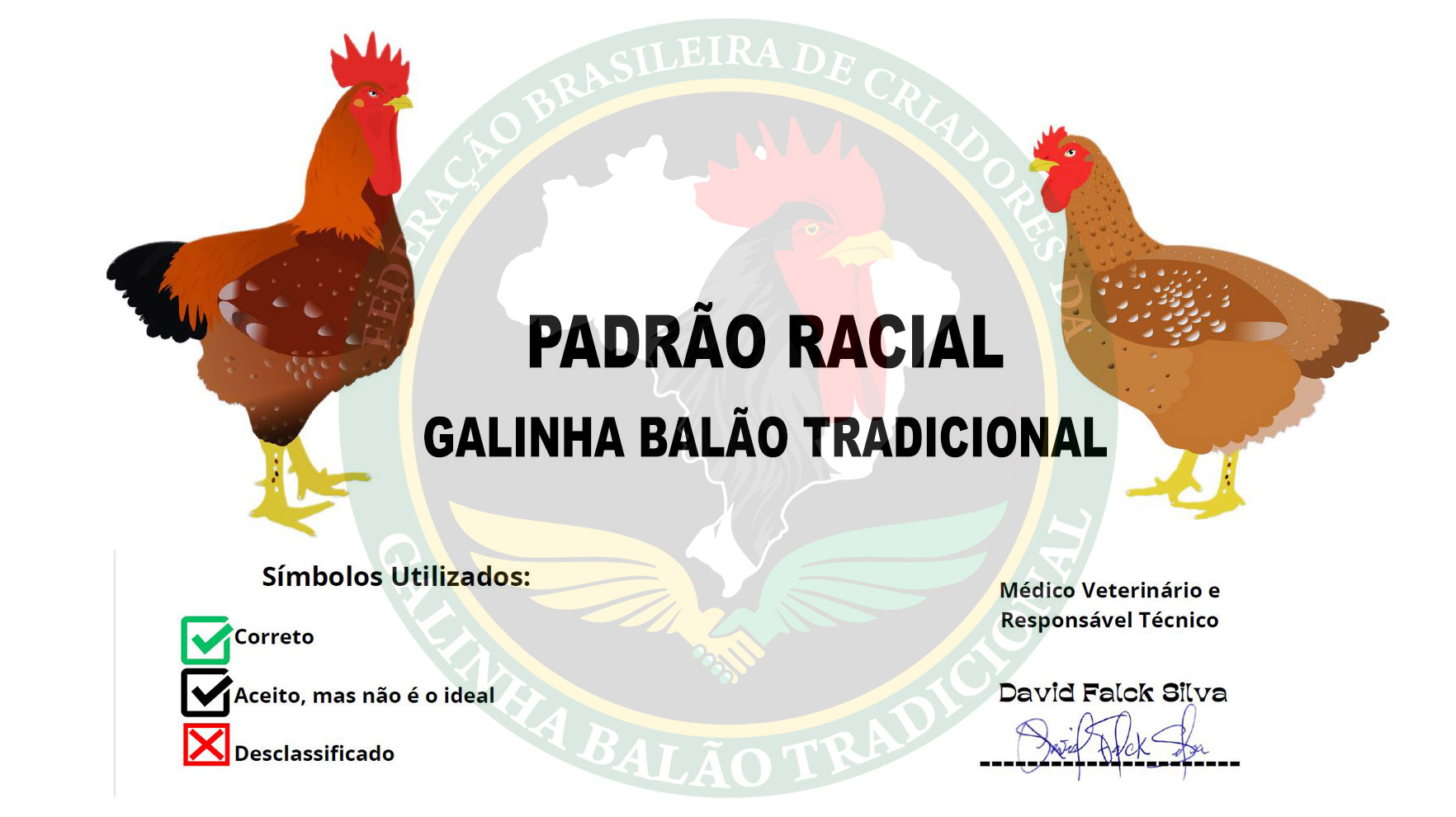 Figura 00