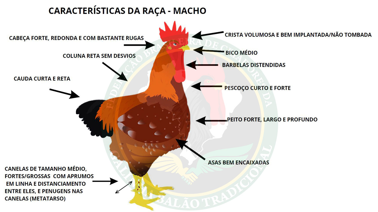 Figura 01