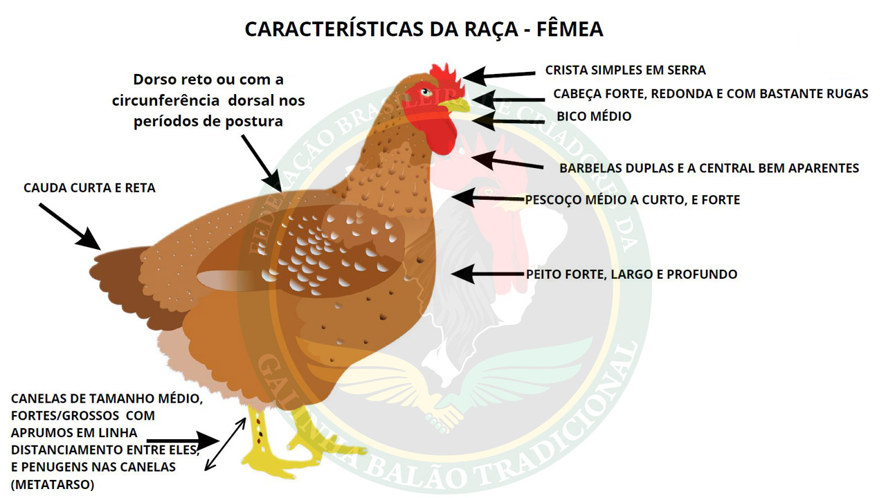 Figura 02