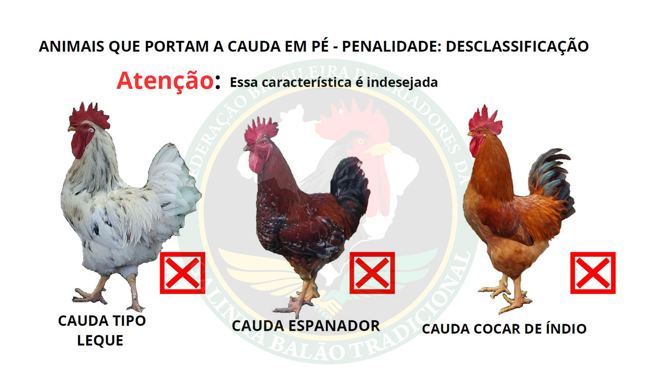 Figura 05