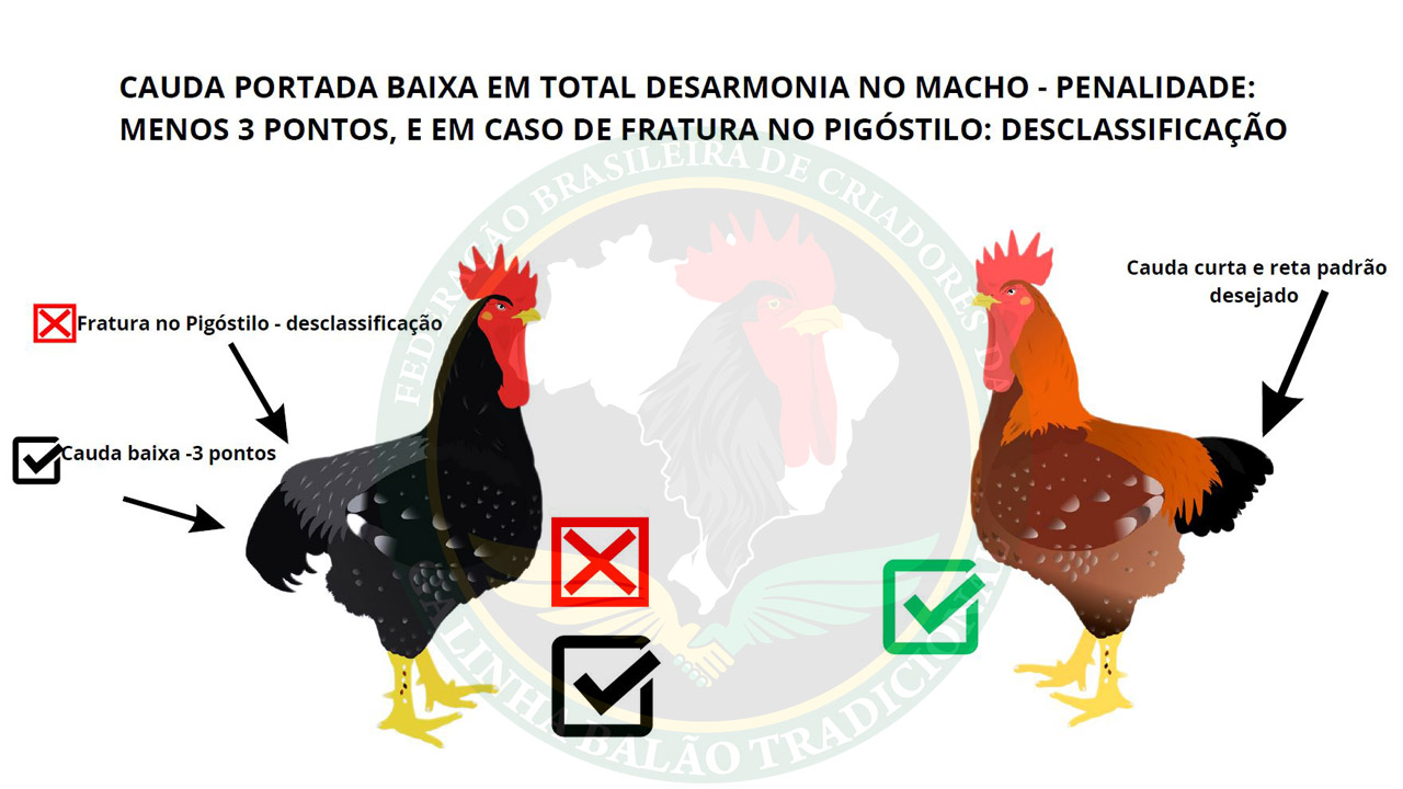 Figura 08
