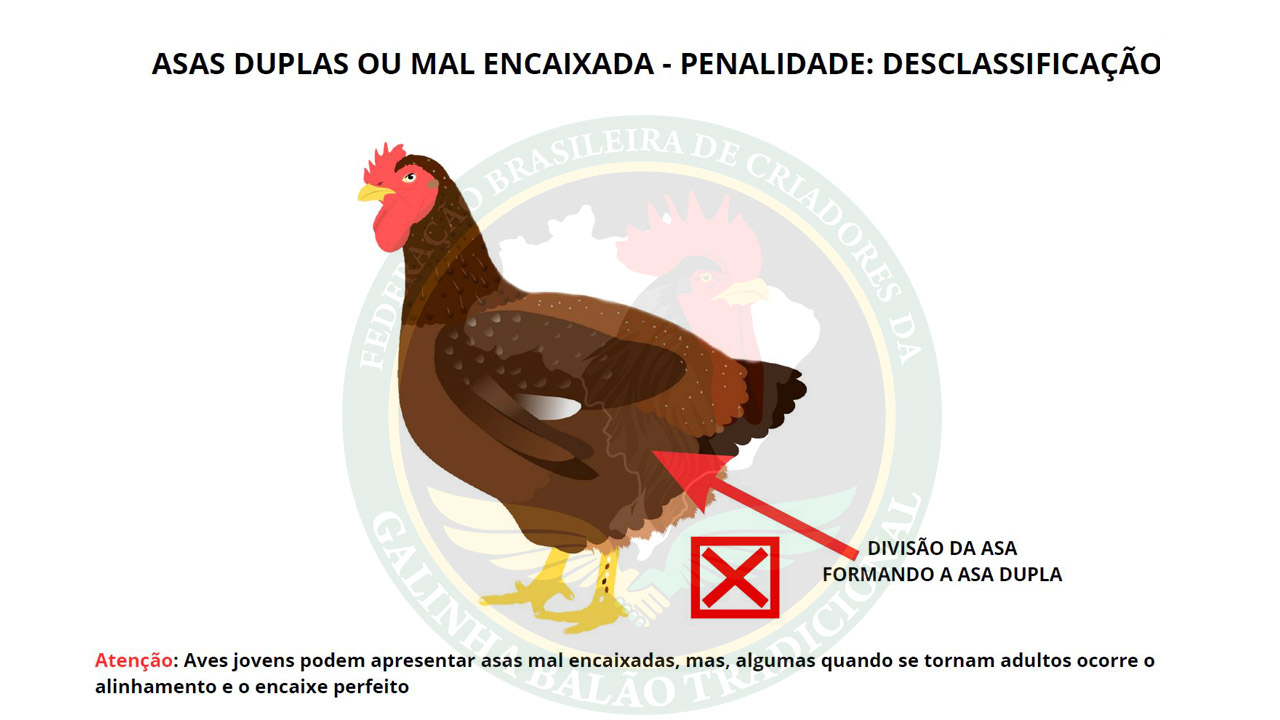 Figura 18